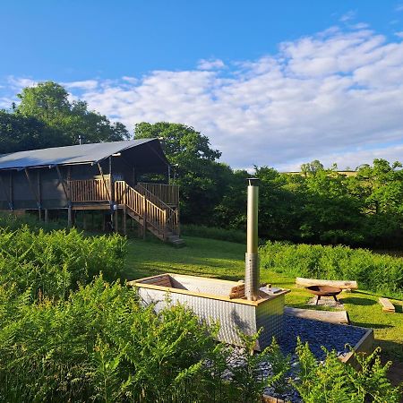 Brackenhill Glamping - Safari Tent With Hot Tub - Sleeps 6 Ivybridge Eksteriør billede