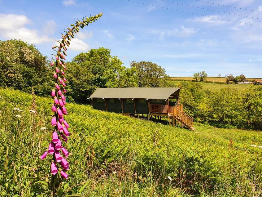 Brackenhill Glamping - Safari Tent With Hot Tub - Sleeps 6 Ivybridge Eksteriør billede